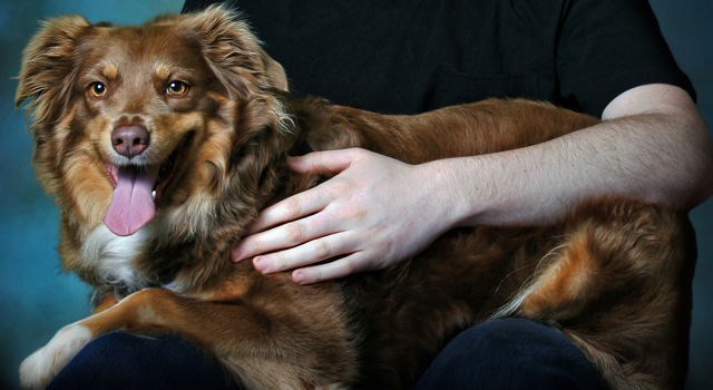 marca-animal-complemento-marca-personal
