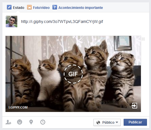 publicar-gifs-facebook-cargar-url
