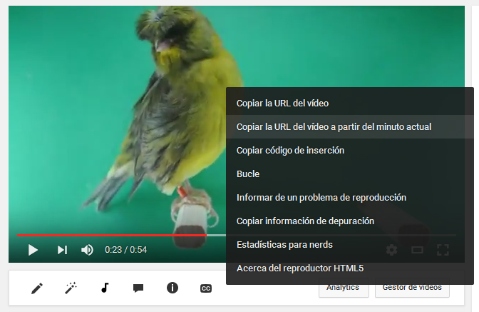 youtube-copiar-url-video-a-partir-minuto-actual